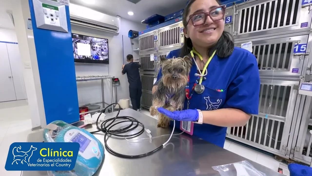 Personal y paciente en hospitalización, portada del video institucional de CEVEC