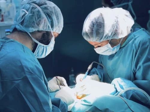 Profesionales veterinarios en una intervención quirúrgica